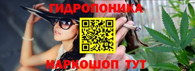 сатива Ставрополь