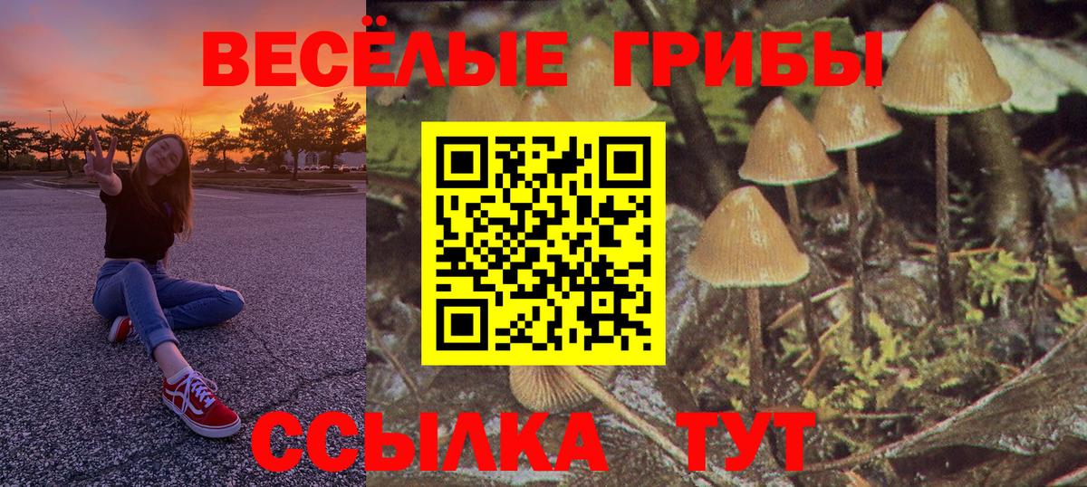 Галлюциногенные грибы Psilocybe Россошь