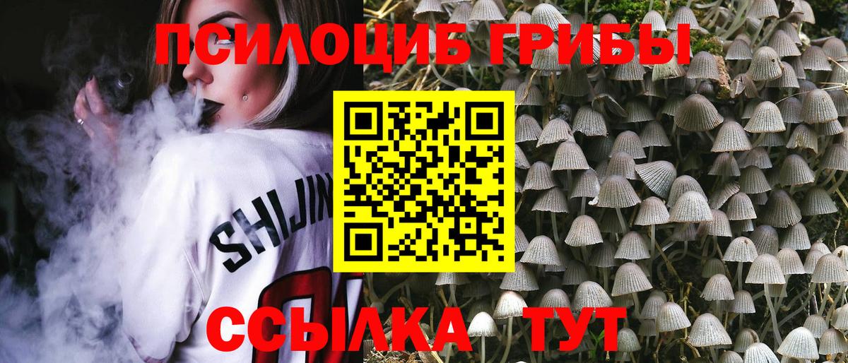 Псилоцибиновые грибы ЛСД  Галлюциногенные грибы мухоморы  Вход с VPN  Россошь 